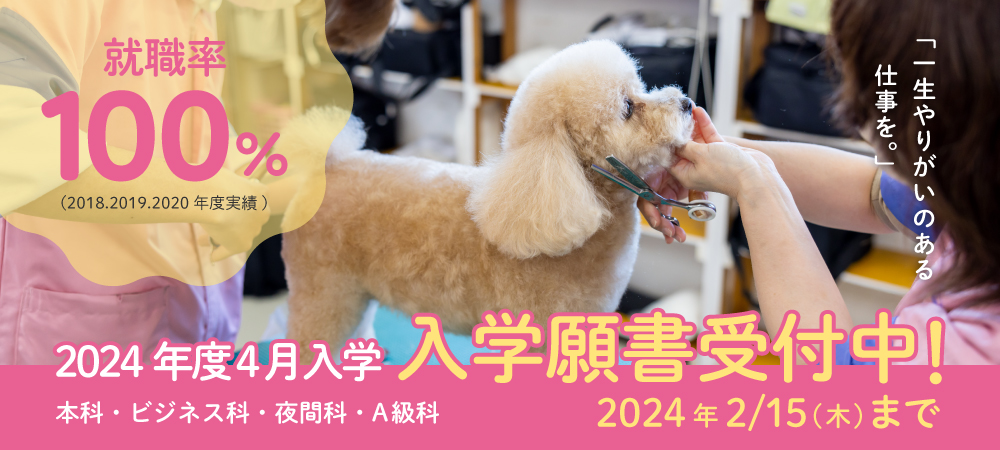 入学願書受付中!